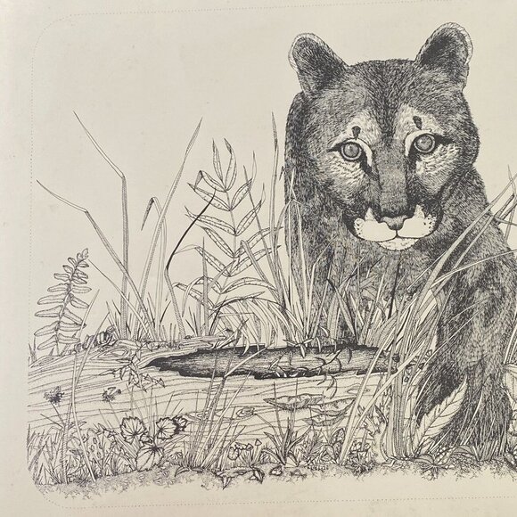 Karen Chappell Vintage Mountain Lion Ink & Pencil on Paper Drawing Signed 1978 - Picture 2 of 11